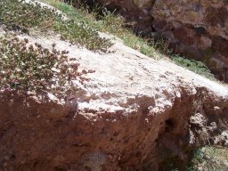 Castillo de Mazarrón 2007